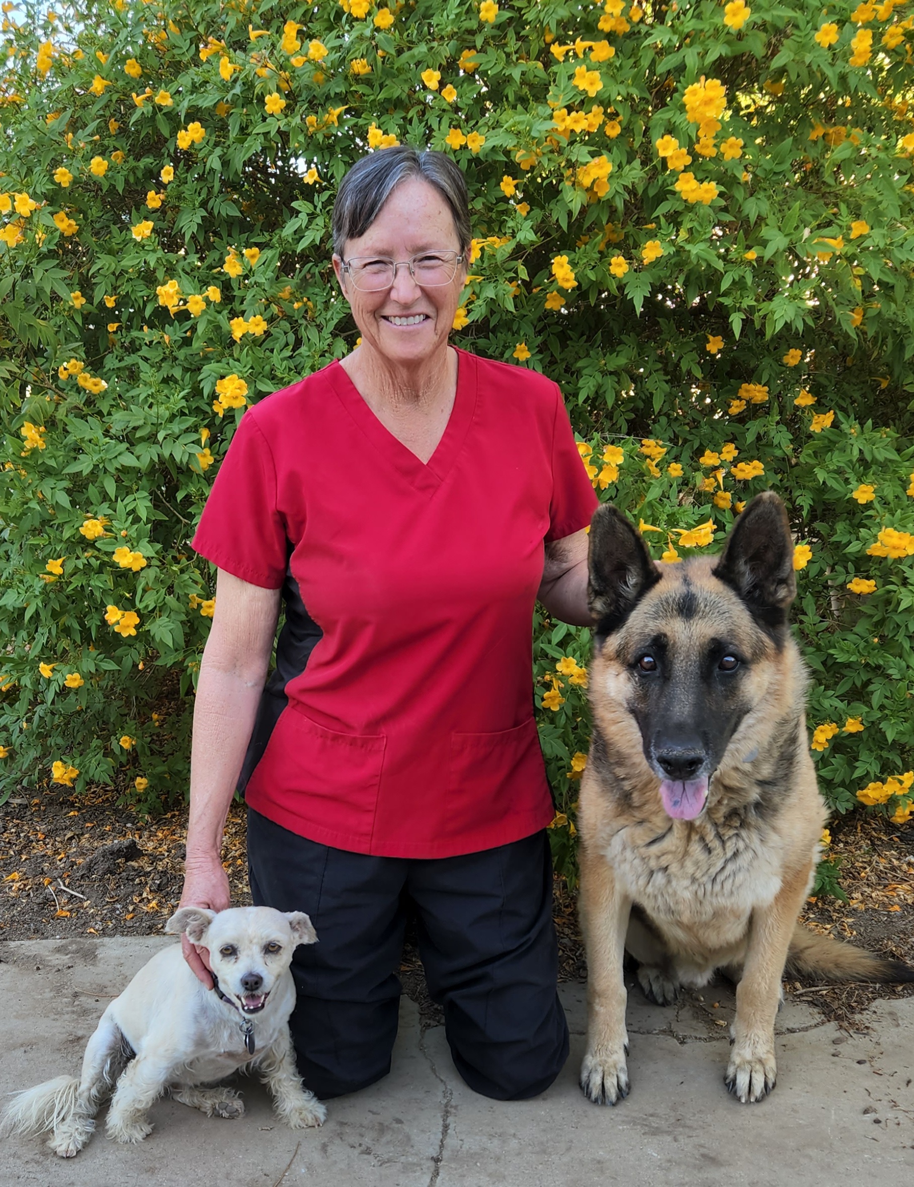 Dr. Alice Gaertner, DVM cum laude · University of Missouri