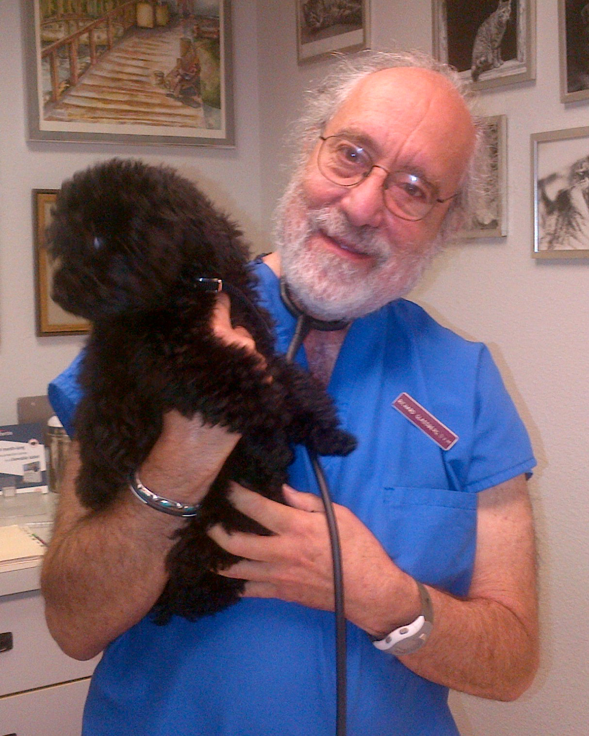 Dr. Richard Glassberg, DVM · University of Missouri CoVM